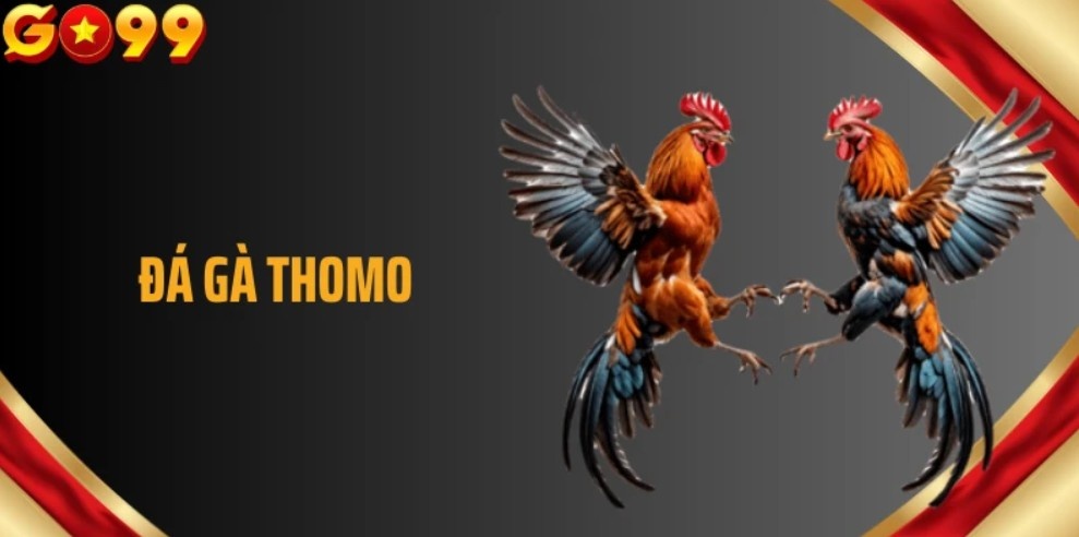  Sức hút nổi bật của sảnh cược trực tuyến