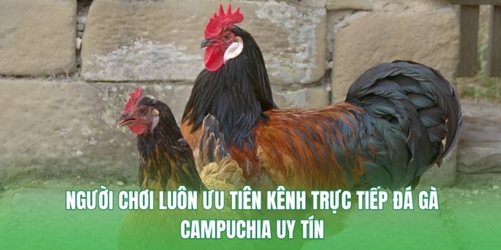 Tỷ lệ trả thưởng tại GO99 vô cùng hấp dẫn