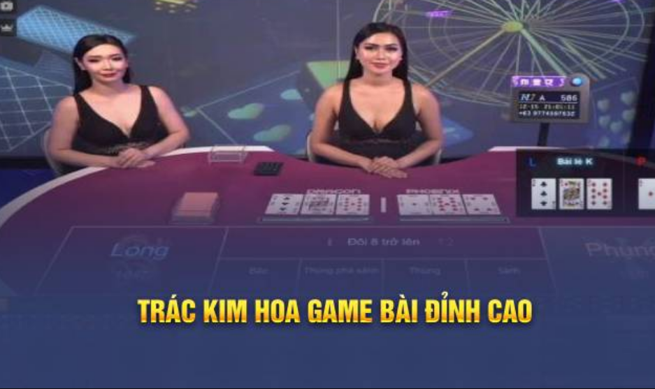 Phân tích và đánh giá lại các ván bài